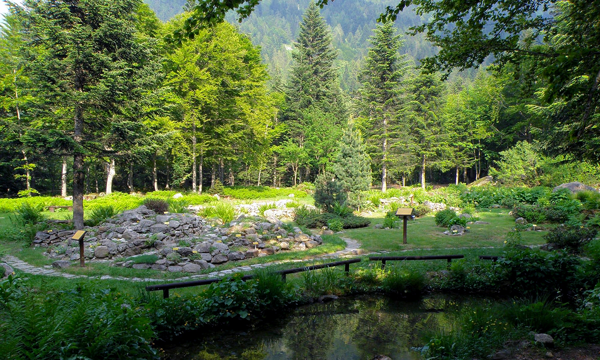 mondo-del-giardino giardino botanico valderia