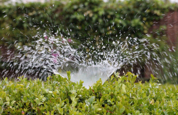 Irrigare il giardino: Irrigatore statico