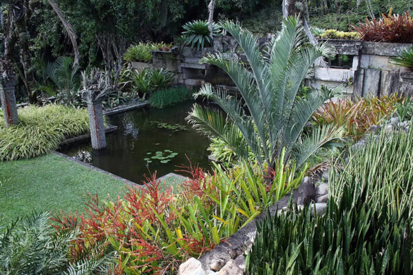 Giardino della sua residenza: Progetto del paesaggista Burle Marx