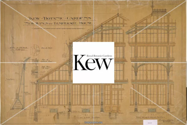 Kew Gardens - Temperate House: Nuove Ali Prosp.