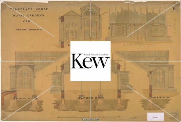 Kew Gardens - Temperate House: Sezione Longitudinale