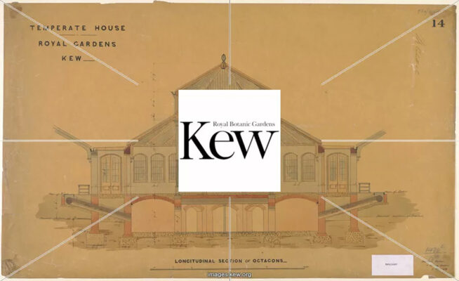 Kew Gardens - Temperate House: Sezione Longitudinale Ottagono