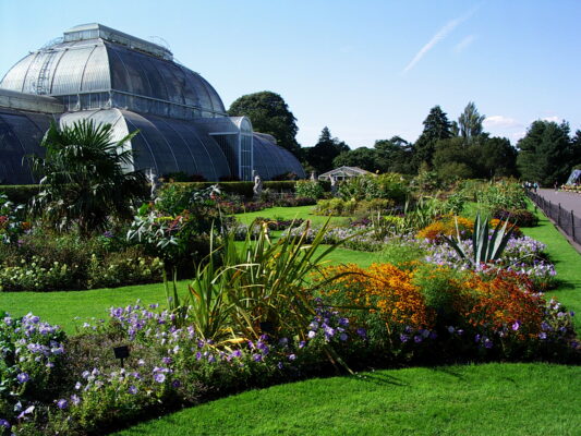Palm House: Fronte