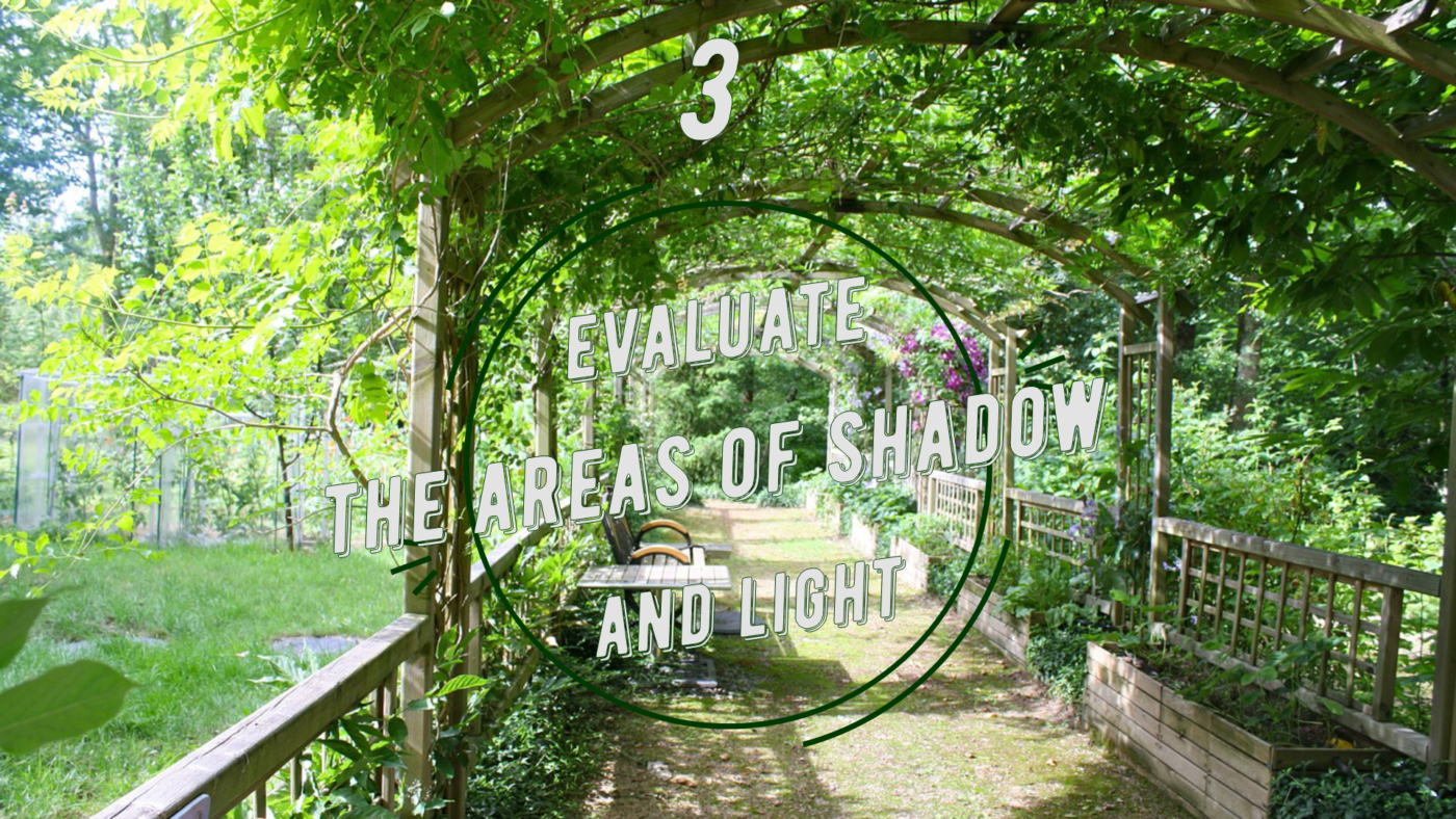 mondo-del-giardino evaluate the areas shadow light