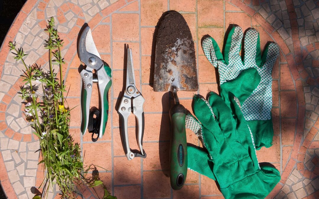 Le eccezioni nella potatura delle piante