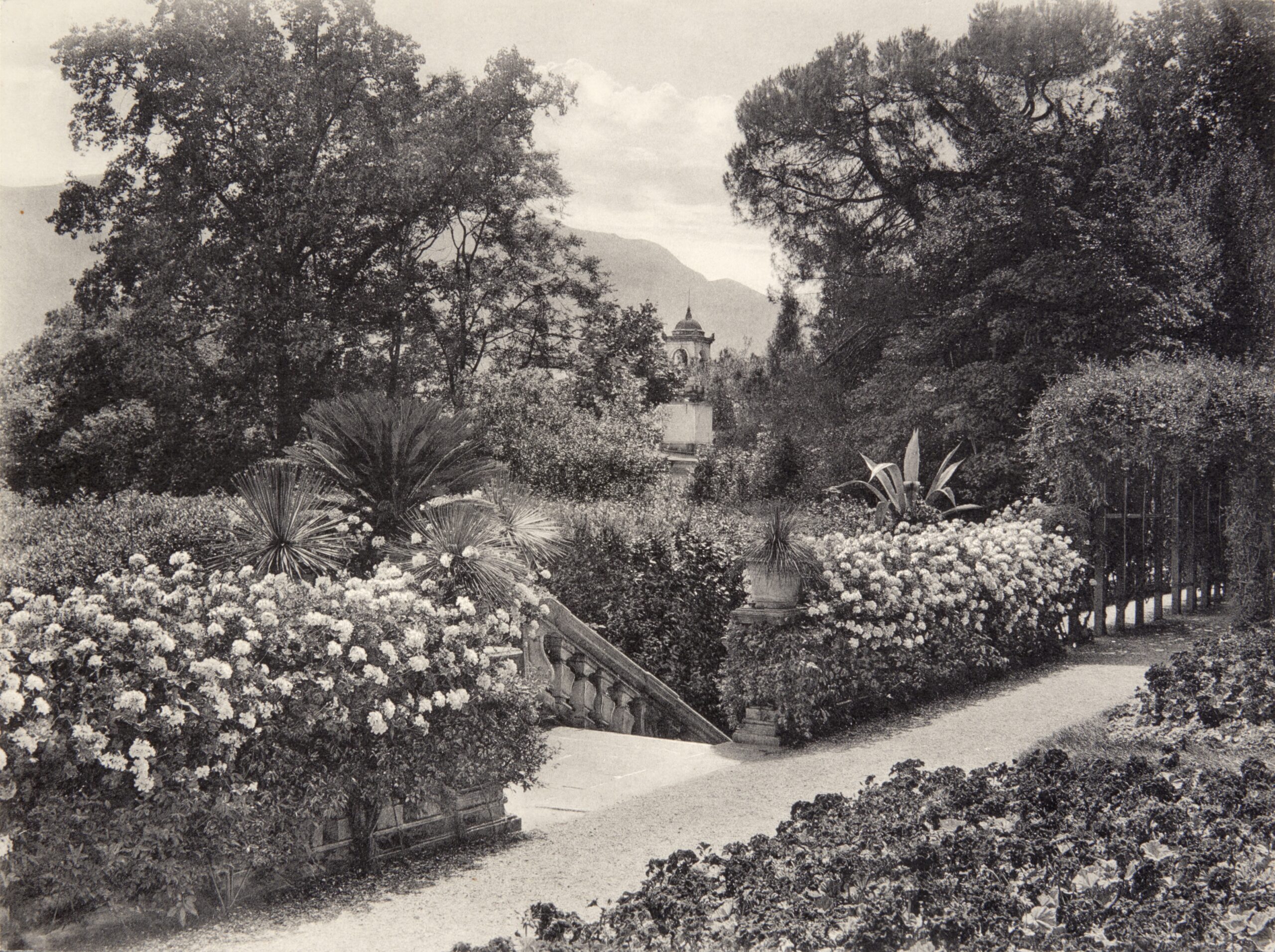 mondo-del-giardino cartoline giardini villa carlotta