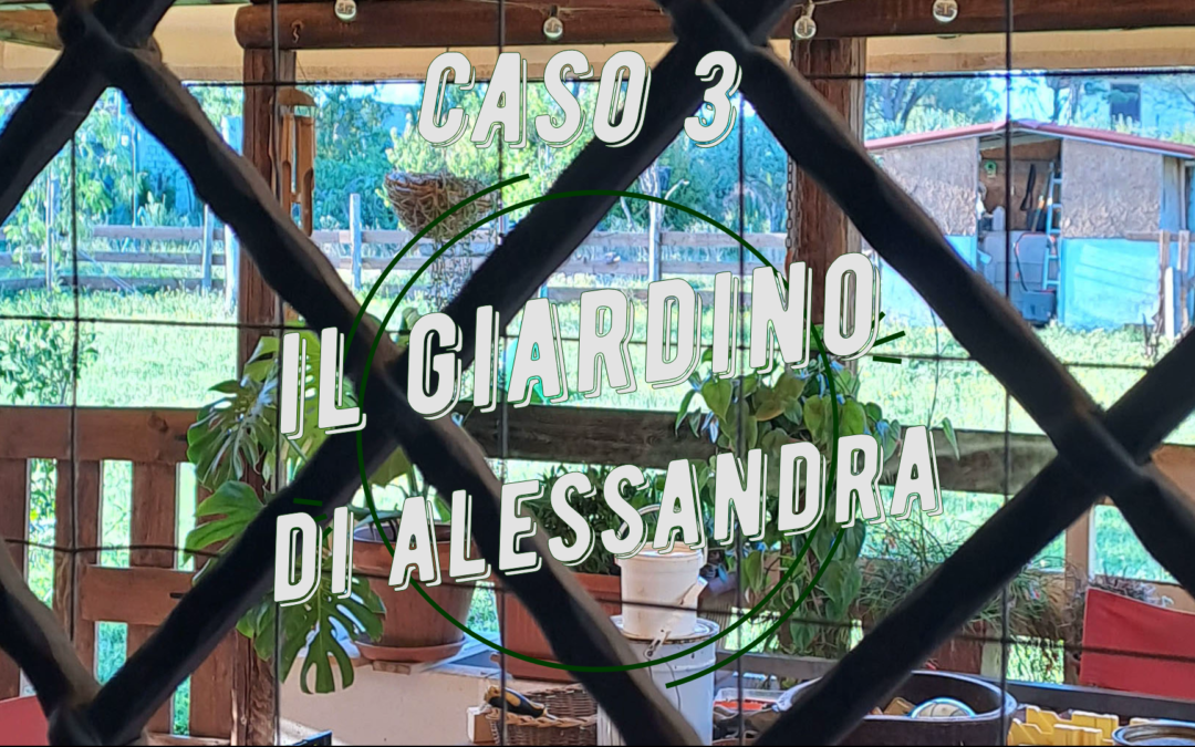 Caso 3 – Il giardino di Alessandra