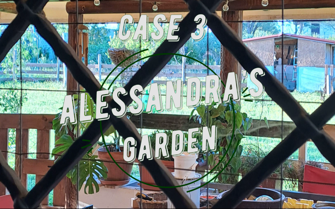 Case 3 – Alessandra’s garden