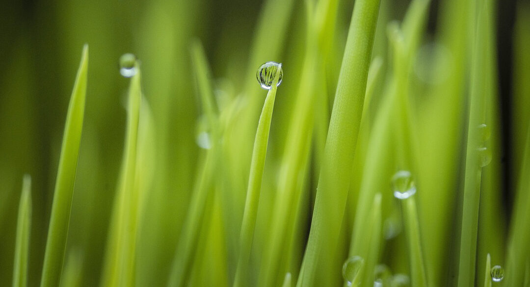 Filomeno e San Valentino