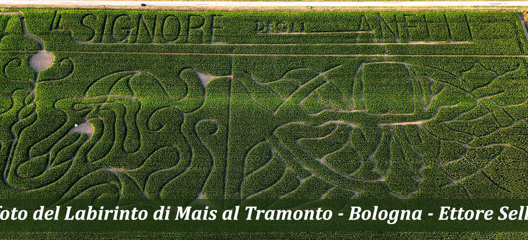 Libro Labirinti Italiani