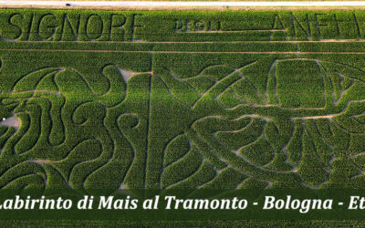 Libro Labirinti Italiani