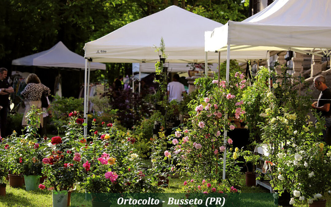 Mostre Mercato Autunnali 2025