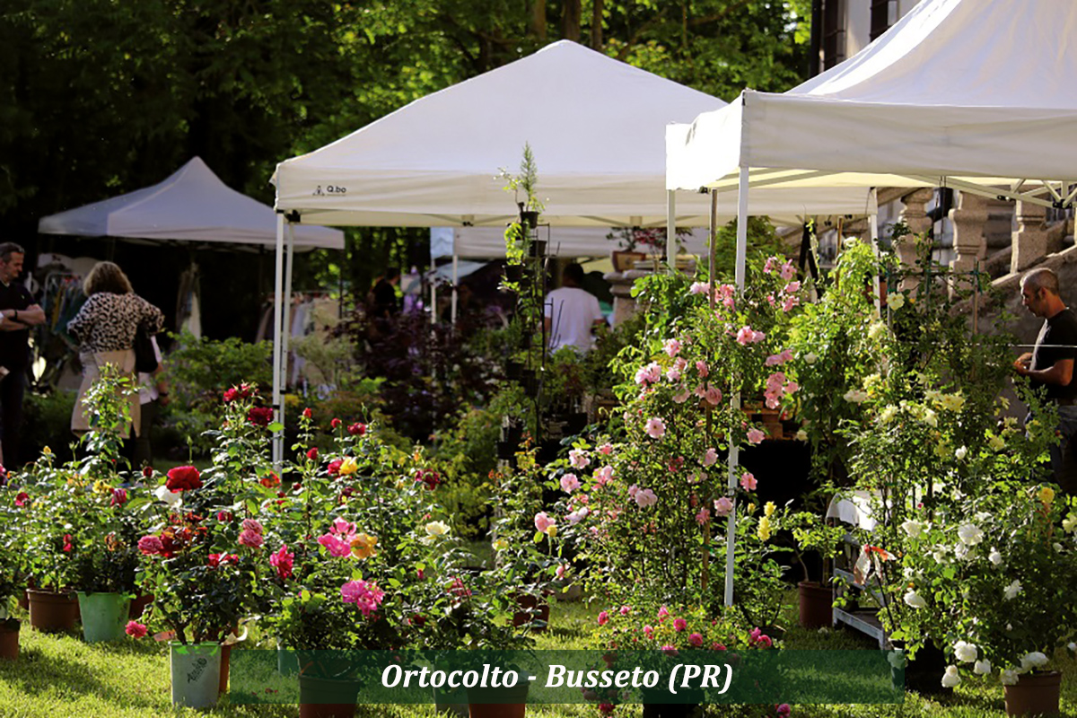 mondo-del-giardino copertina