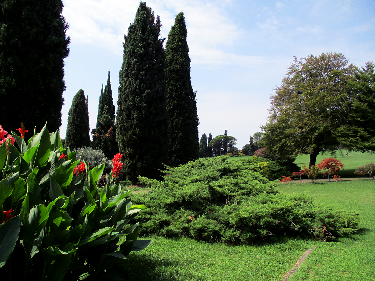 A_IMG_0937_web mondo-del-giardino parco sigurta ginepri
