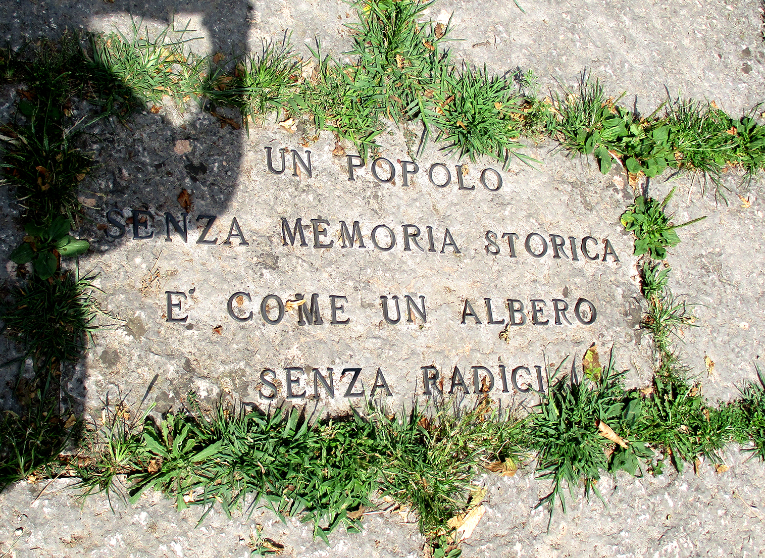 A_IMG_0943_web mondo-del-giardino parco sigurta motto