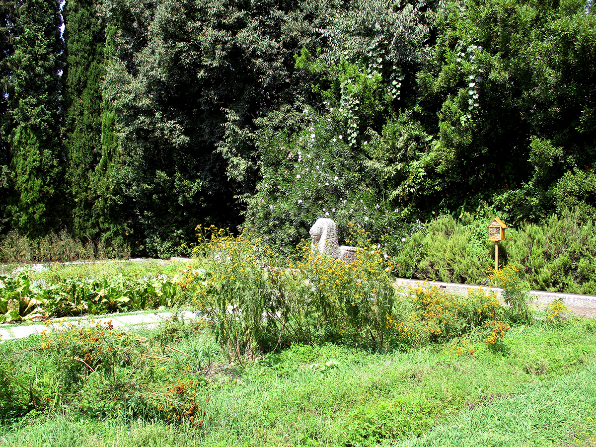 A_IMG_0954_web mondo-del-giardino