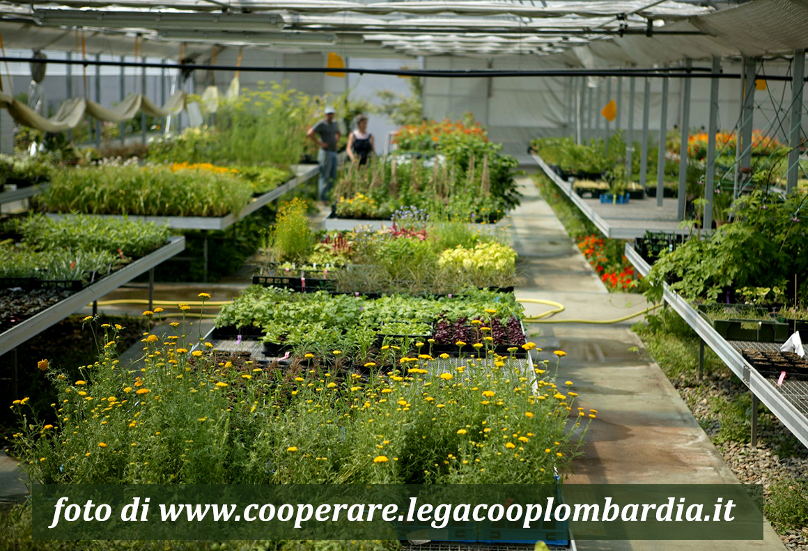 Foto 3_cascina-bollate_cooperarepuntolegacooplombardiait_web mondo-del-giardino cascina bollate panorama