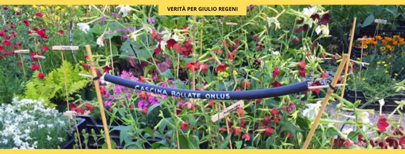 Foto copertina_fb di cascina bollate mondo-del-giardino cascina bollate copertina