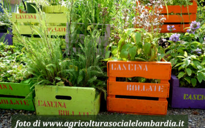 Cascina Bollate