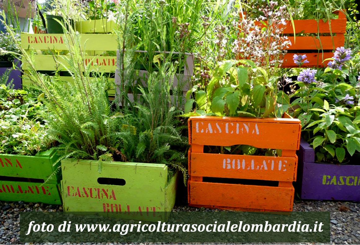 mondo-del-giardino cascina bollate presentazione