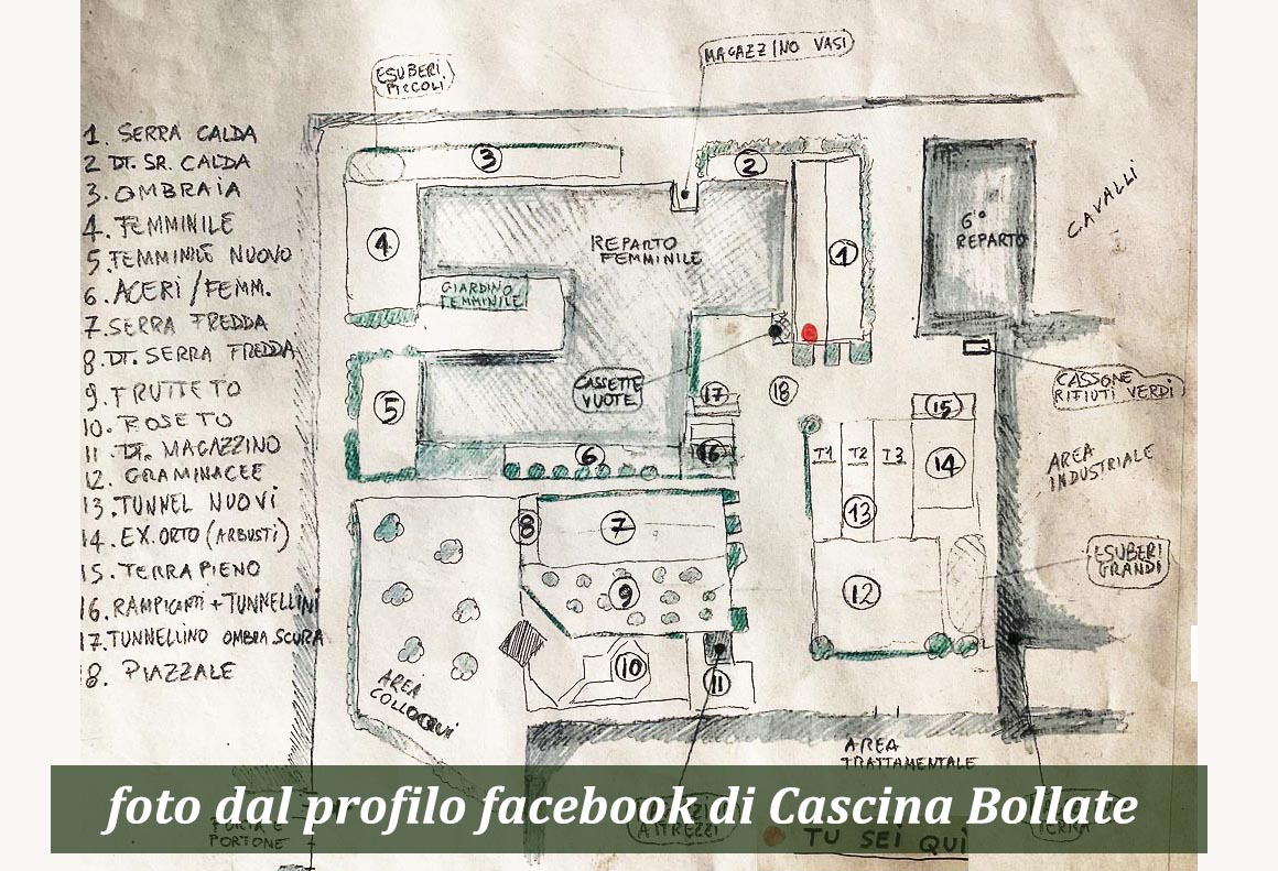 Foto1_fb di cascina bollate mondo-del-giardino cascina bollate