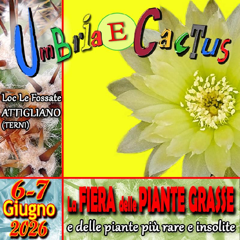 mondo-del-giardino mostre mercato piante e fiori 26 umbria e cactus