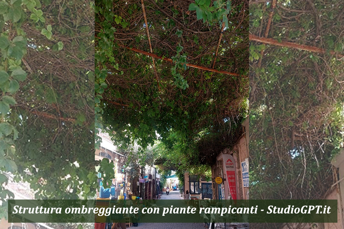 2 Vegini_Struttura ombreggiante rivestite da piante rampicanti_1 mondo-del-giardino seriate punta sul paesaggio