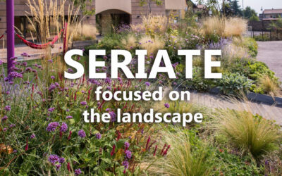Seriate focuses on the landscape