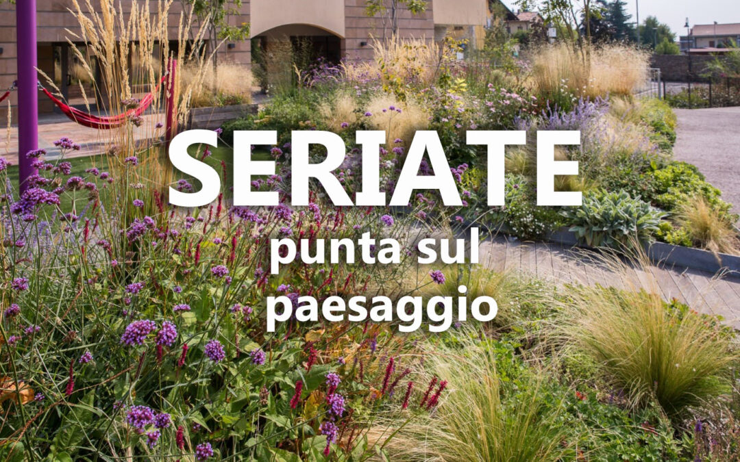 Seriate punta sul paesaggio